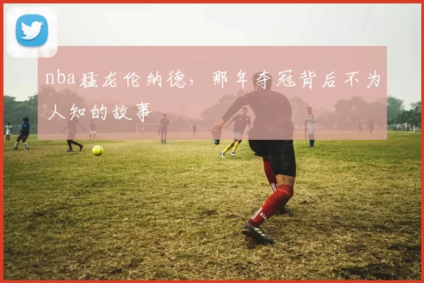 nba猛龙伦纳德，那年夺冠背后不为人知的故事