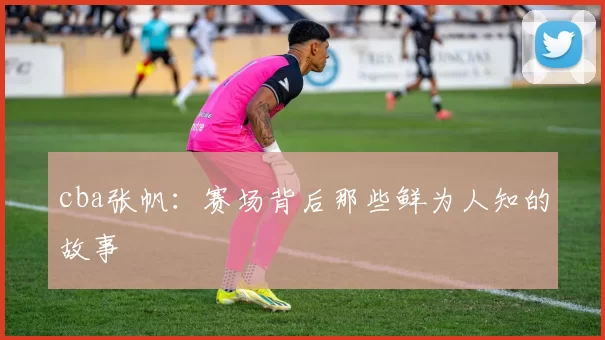 cba张帆:赛场背后那些鲜为人知的故事