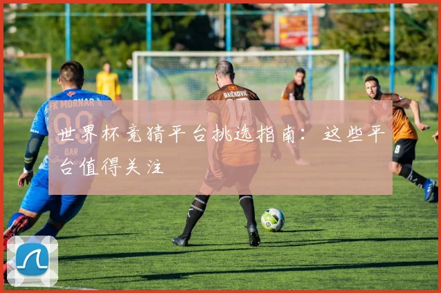 世界杯竞猜平台挑选指南:这些平台值得关注